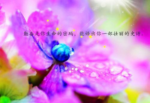 珠峰捞尸被活埋，雪鬼缠身再喊救命晚了最新章节_珠峰捞尸被活埋，雪鬼缠身再喊救命晚了全文免费阅读