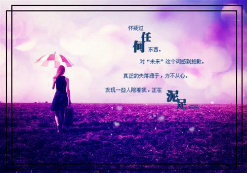苏珞白文婉最新章节_苏珞白文婉全文免费阅读