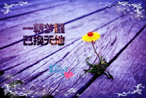 客户管理经理个人简历模板