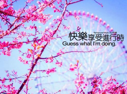 大学生自己成功的经历精选