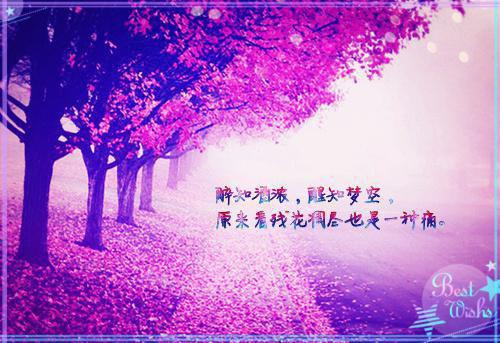 幼儿教师晨会正能量故事分享幼儿教师晨会分享励志小故事