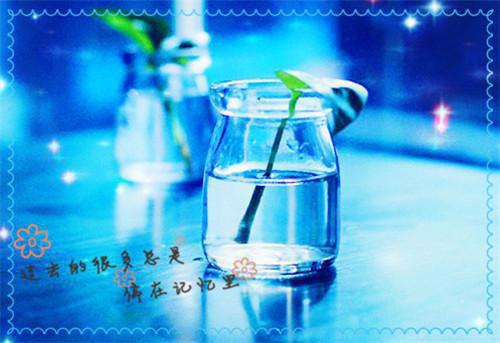 我尝到了成功的滋味300字