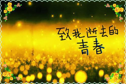 古清言傅傅宇生小说全文 古清言傅傅宇生小说免费阅读大结局
