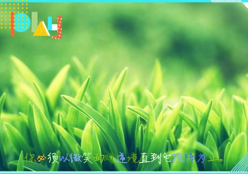 予你半城微光最新章节_予你半城微光全文免费阅读