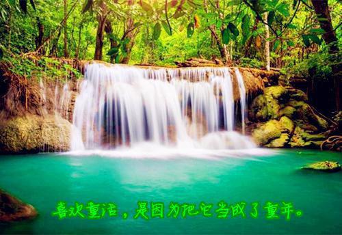 经典新年的对联有哪些