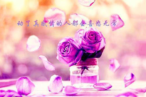 网络工程专业往届生应聘简历范文