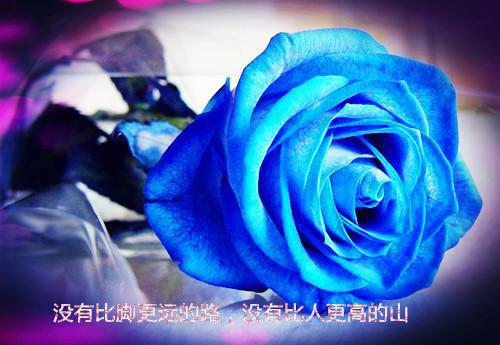 2023高中毕业留言唯美短句