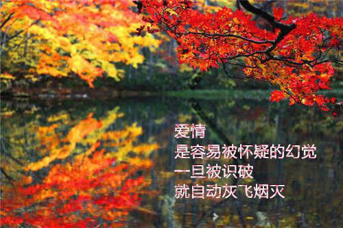江屿白云雪瑶小说（云雪瑶江屿白）全文免费阅读无弹窗大结局_江屿白云雪瑶小说小说全文免费阅读最新章节列表（云雪瑶江屿白）