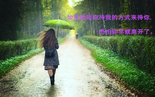 施凤阳张思蕾小说免费阅读施凤阳张思蕾全文完结版小说阅读