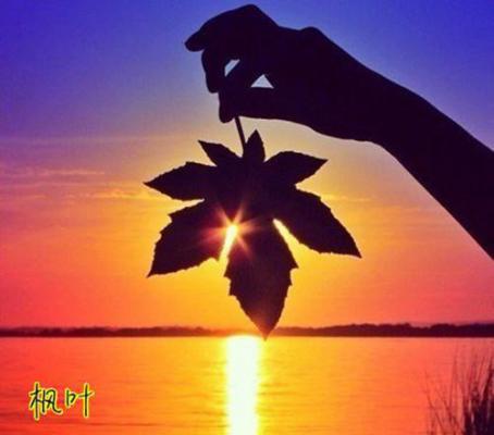 对人生感悟的经典句子