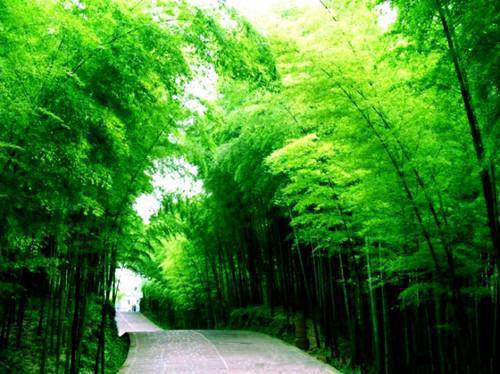 神命无双最新章节_神命无双全文免费阅读