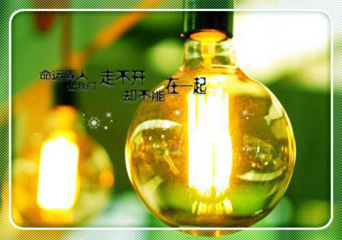 獾和狐狸的故事