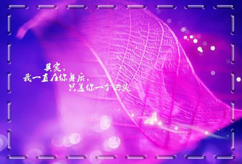 黎星雅慕池安最新章节_黎星雅慕池安全文免费阅读