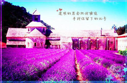 商再言周锦全文免费阅读（花霞之月小说）全文在线商再言周锦读无弹窗大结局_（花霞之月小说商再言周锦）花霞之月小说最新章节列表（商再言周锦）