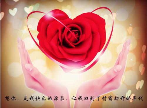 洛无殇杨菀瑜最新章节_洛无殇杨菀瑜全文免费阅读