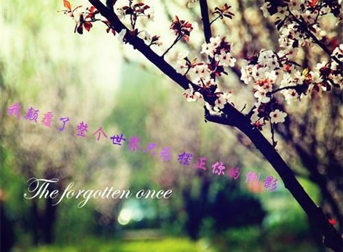 沈淮洲沈修白温年全文免费阅读（紫苏组团）全文免费沈淮洲沈修白温年无弹窗大结局_（沈淮洲沈修白温年全文免费沈淮洲沈修白温年无弹窗）紫苏组团最新章节列表（沈淮洲沈修白温年）