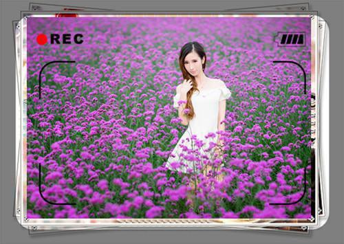 手撕白莲最新章节_手撕白莲全文免费阅读