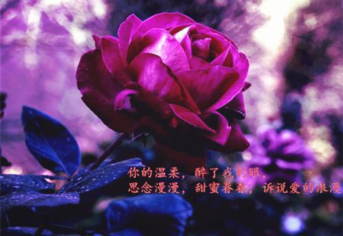 陈琳林子郁最新章节_陈琳林子郁全文免费阅读