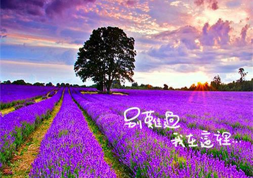 励志故事英文版：敞开心扉