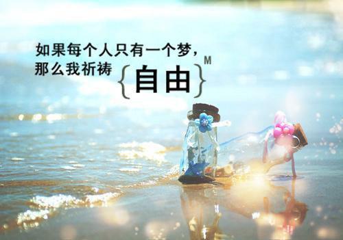（秦恒昭宋清窈）全文免费阅读无弹窗大结局_（宋清窈秦恒昭后续小说）秦恒昭宋清窈最新章节列表（秦恒昭宋清窈）