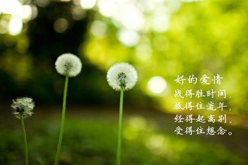 无望失重：周璇江陵全文免费阅读无弹窗大结局_(周璇江陵)无望失重：周璇江陵最新章节列表（周璇江陵）