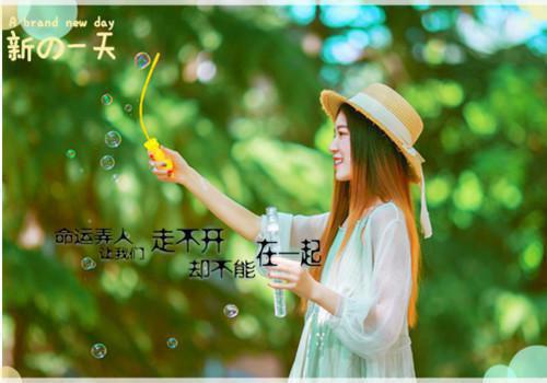 卫柔顾晏衡最新章节_卫柔顾晏衡全文免费阅读