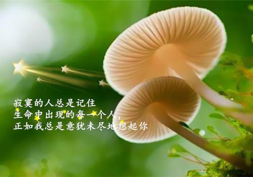 神话故事的成语大全