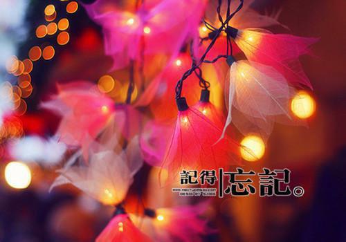 除夕夜,首富老公逼六岁儿子在雪地跪一夜程晚意霍城钧：结局+番外（程晚意霍城钧）全文免费阅读无弹窗大结局_(除夕夜,首富老公逼六岁儿子在雪地跪一夜/程晚意霍城钧：结局+番外)最新章节列表（程晚意霍城钧）