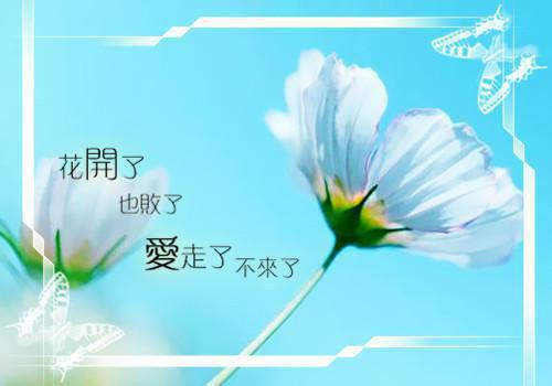 入骨暖婚：冷少深深宠最新章节_入骨暖婚：冷少深深宠全文免费阅读