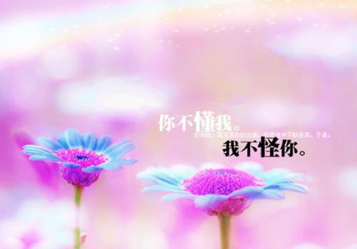 会计人员个人简历范文精选