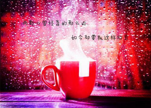 英文版空白简历表格