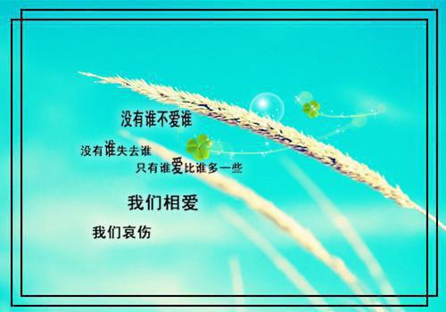 凌锦意的小说一觉醒来，本宫的咸鱼计划泡汤啦凌锦意萧景城全文阅读