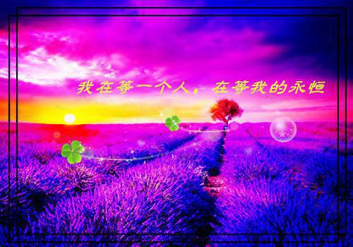 说谎的贵妃全文免费阅读无弹窗大结局_(陆寰苏秦)说谎的贵妃最新章节列表（说谎的贵妃）