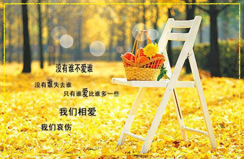 (结局)+(番外)辛菲宁顾宴风（未婚夫假装失忆后，我嫁给了他弟）完整全文在线阅读_辛菲宁顾宴风免费阅读最新章节列表（未婚夫假装失忆后，我嫁给了他弟）