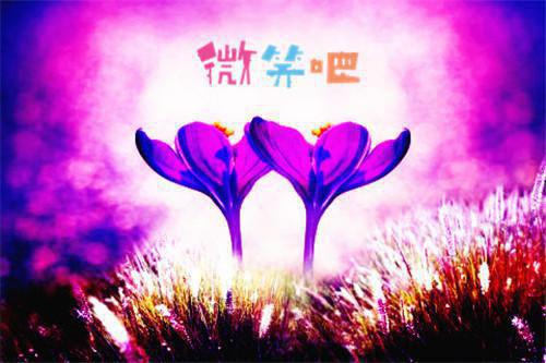 完结版小说我在九零当相师第6章阅读
