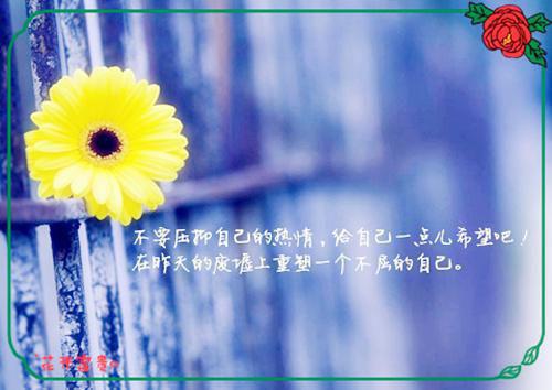 幼教应聘求职简历范文