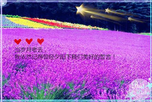 唐嘉傅祯江言周（温柔逆缘）全文免费阅读无弹窗大结局_（唐嘉傅祯江言周）温柔逆缘最新章节列表（温柔逆缘）