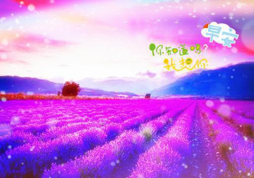 九转镜像周宇秋完本在线小说免费阅读