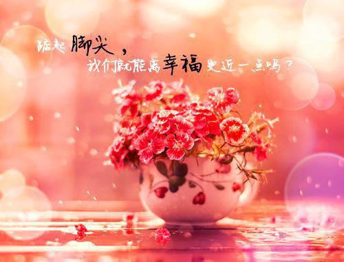 陆绾秦慎小说（陆绾秦慎小说）全文免费阅读无弹窗大结局_（陆绾秦慎）免费阅读无弹窗最新章节列表（陆绾秦慎）