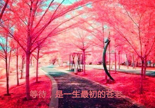 高考励志文章精选