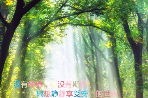 全网热搜小说（考验勇士）的小说主角是（陈楠楠陆淼泽）考验勇士全文免费阅读最新章节列表