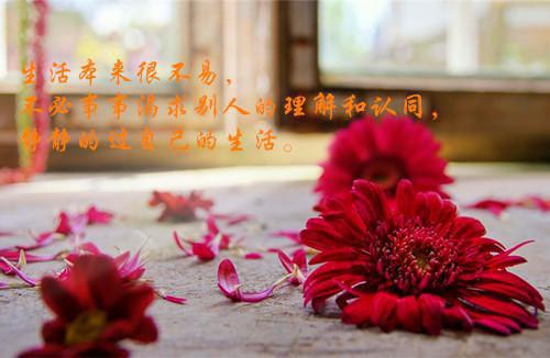 市场部会计主管求职简历范文