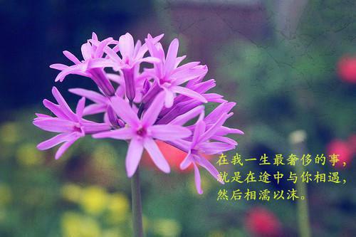 励志合唱歌曲胡彦斌宣言