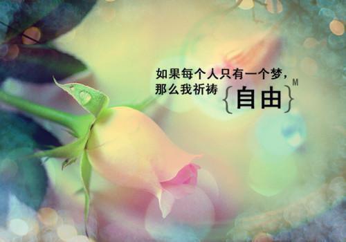 自考励志故事