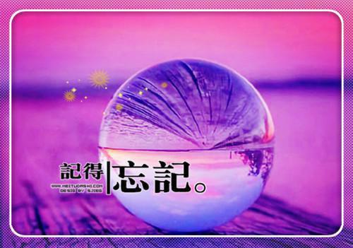 (番外)+(全文阅读)爱是一场寂静的燃烧小说后续+大结局免费下载阅读_(苏棠蒋晏州)高分小说爱是一场寂静的燃烧：结局+番外+完结最新章节列表（苏棠蒋晏州）