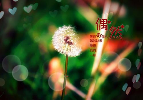 徐嘉野简时宜郝蔓全章节_曾经心跳小说阅读