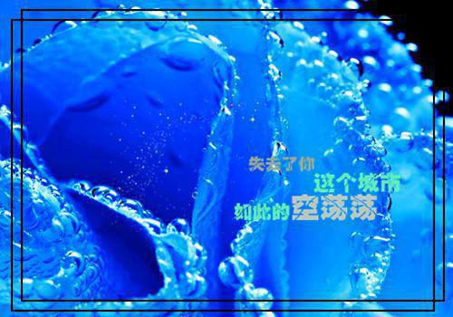 早安充满正能量的句子大全