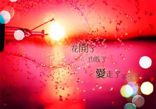 爱意随风而起：热门推荐顾钰安完本在线小说免费阅读