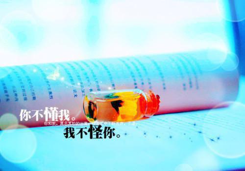 纪青佑裴浅小说 纪青佑裴浅全文免费阅读