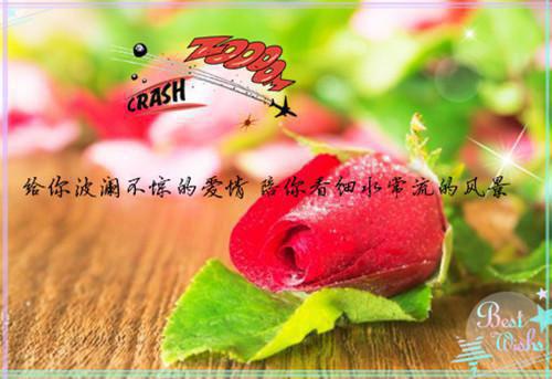 《商途绯事》秦宇孟园小说全文完整版阅读